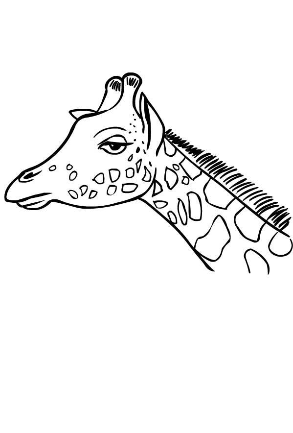 Desenhos De Girafas Para Colorir