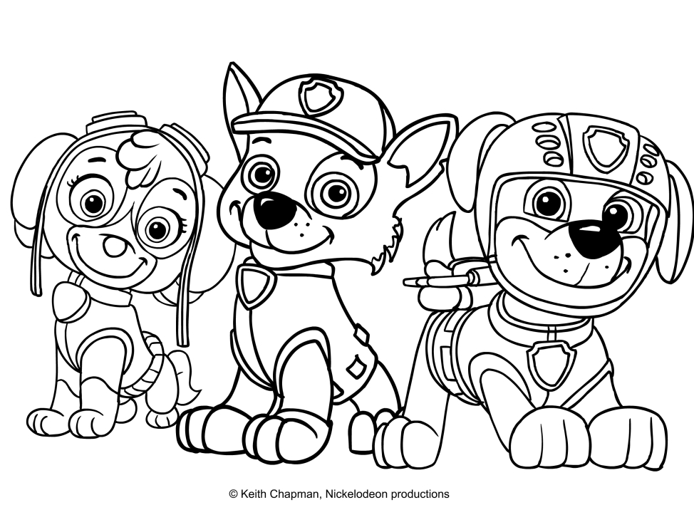 Dibujo Para Colorear De Skye Rocky Dan Zuma